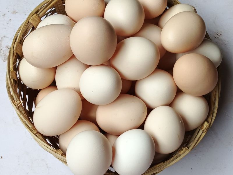 Farm-Fresh Brown Free-Range Eggs (Desi Eggs)